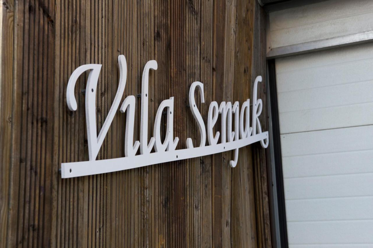 Vila Senjak Belgrade Exterior photo